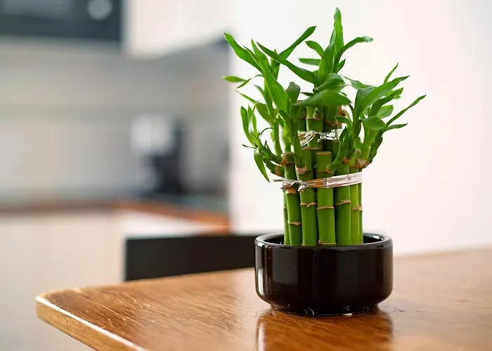 Casa Rosi 2 בית נופש *